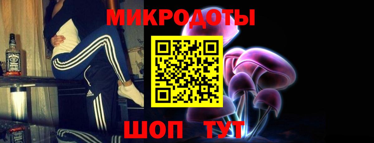 Киселёвск  Псилоцибиновые грибы ЛСД  Вход с VPN 